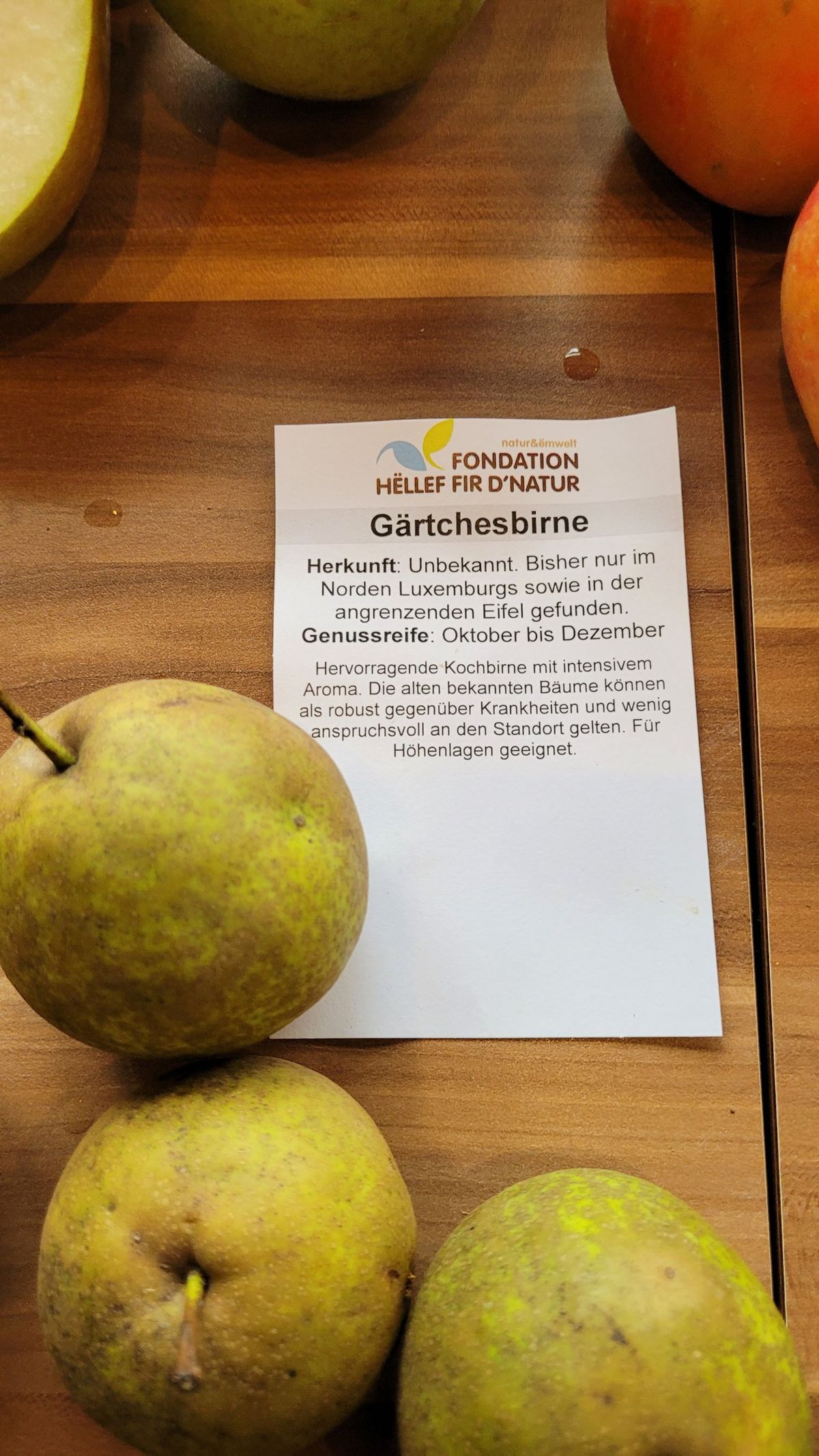 Gärtchesbirne mit Sortenschild